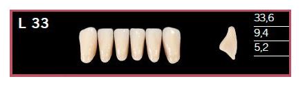 [DLL33BL2] L33-BL2 DELARA TEETH LOWER ANTERIOR
