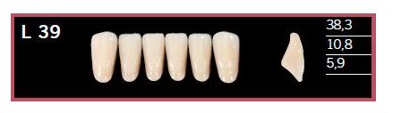 [DLL39BL2] L39-BL2 DELARA TEETH LOWER ANTERIOR