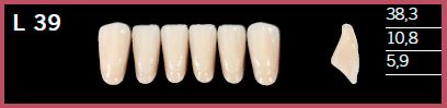 [DLL39C4] L39-C4 DELARA TEETH LOWER ANTERIOR