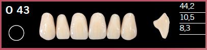 [DLO43B3] O43-B3 DELARA TEETH UPPER ANTERIOR