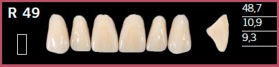 [DLR49B2] R49-B2 DELARA TEETH UPPER ANTERIOR