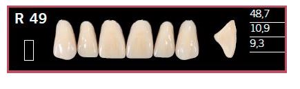 [DLR49BL2] R49-BL2 DELARA TEETH UPPER ANTERIOR