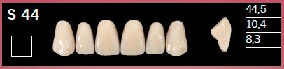 [DLS44B3] S44-B3 DELARA TEETH UPPER ANTERIOR