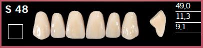 [DLS48D4] S48-D4 DELARA TEETH UPPER ANTERIOR
