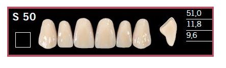 [DLS50BL2] S50-BL2 DELARA TEETH UPPER ANTERIOR