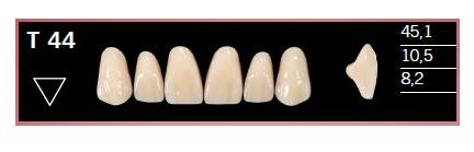 [DLT44BL2] T44-BL2 DELARA TEETH UPPER ANTERIOR