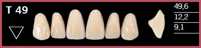 [DLT49C3] T49-C3 DELARA TEETH UPPER ANTERIOR