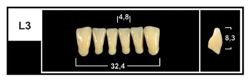 [GBL3-BL3L] L3 BL3 LOWER ANTERIOR TRIBOS TEETH