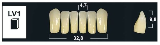 [GBLV1-BL3] LV1 BL3 LOWER ANTERIOR TRIBOS TEETH