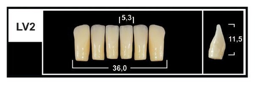 [GBLV2-BL3] LV2 BL3 LOWER ANTERIOR TRIBOS TEETH