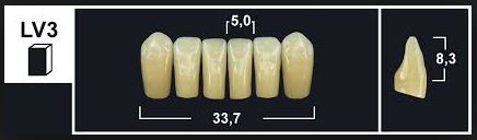 [GBLV3-A3L] LV3 A3 LOWER ANTERIOR TRIBOS TEETH