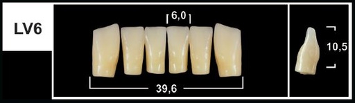 [GBLV6-B3L] LV6 B3 LOWER ANTERIOR TRIBOS TEETH