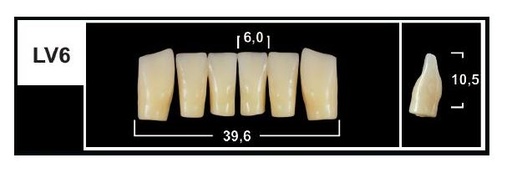 [GBLV6-BL3] LV6 BL3 LOWER ANTERIOR TRIBOS TEETH