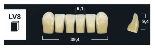 [GBLV8-BL3] LV8 BL3 LOWER ANTERIOR TRIBOS TEETH