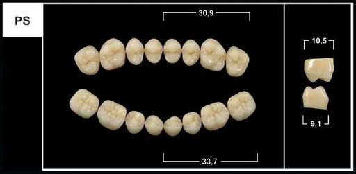 [GBPS-A1U] PS A1 UPPER POSTERIOR TRIBOS TEETH
