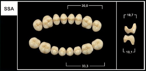 [GBSSA-D2L] SSA D2 LOWER POSTERIOR TRIBOS TEETH
