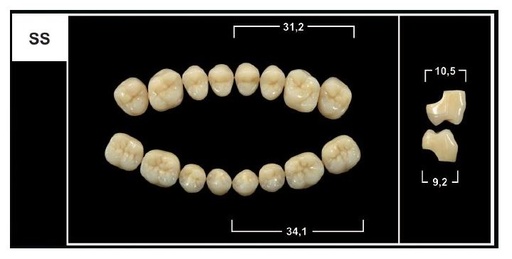 [GBSS-BL3L] SS BL3 LOWER POSTERIOR TRIBOS TEETH