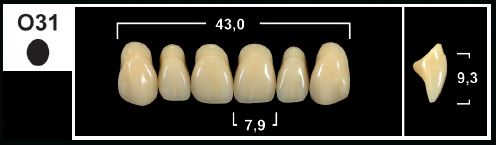 [GBVO54-A4U] VO54 A4 UPPER ANTERIOR TRIBOS TEETH