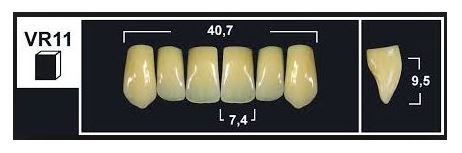 [GBVR11-BL3] VR11 BL3 UPPER ANTERIOR TRIBOS TEETH