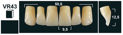 [GBVR43-B1] VR43 B1 UPPER ANTERIOR TRIBOS TEETH