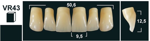 [GBVR43-BL3] VR43 BL3 UPPER ANTERIOR TRIBOS TEETH