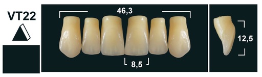 [GBVT22-D3U] VT22 D3 UPPER ANTERIOR TRIBOS TEETH