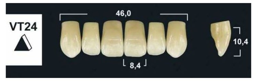 [GBVT24-BL3] VT24 BL3 UPPER ANTERIOR TRIBOS TEETH