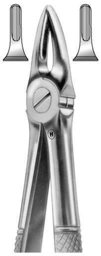 [HMHSA01029] EXTRACTION FORCEPS UPPER ROOTS 29