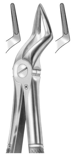 [HMHSA01751] EXTRACTION FORCEPS UPPER ROOTS 51A
