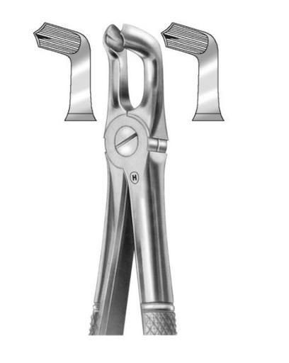 [HMHSA07179] EXTRACTION FORCEPS LOW THIRD MOLARS 79