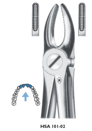 [HMHSA10102] EXTRACTION FORCEPS UPPER CANINE 2
