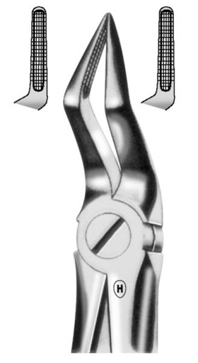[HMHSA10651] EXTRACTION FORCEPS UPPER ROOTS 51A