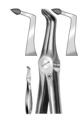 [HMHSA12149] EXTRACTION FORCEPS LOWER ROOT 49