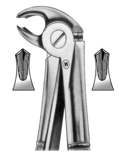 [HMHSA33122] EXTRACTION FORCEPS CHILD LOWER MOLAR 22S
