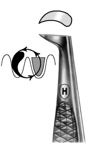 [HMHSA69902] ROOT ELEVATOR LOWER RIGHT 2