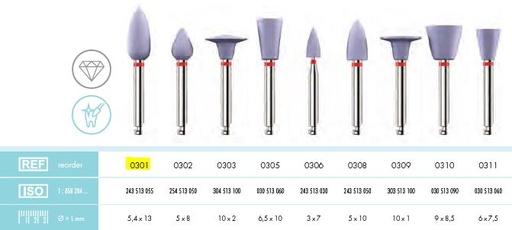 [KE0301012] NOBILIS DIA POLISHER GRENADE VIOLET /12