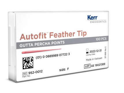 [KR9520010] AUTOFIT GUTTA PERCHA FINE FINE/100