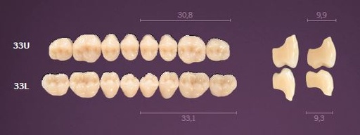 [MO33UA1] 33-A1 MONDIAL TEETH UPPER POSTERIOR