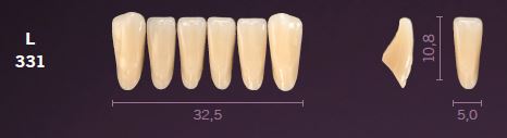 [MOL331D3] L331-D3 MONDIAL TEETH LOWER ANTERIOR