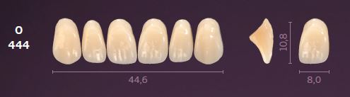 [MOO444C4] O444-C4 MONDIAL TEETH UPPER ANTERIOR