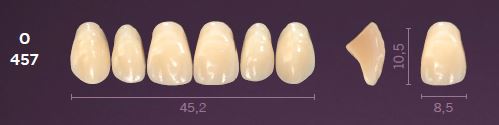 [MOO457D3] O457-D3 MONDIAL TEETH UPPER ANTERIOR
