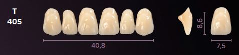 [MOT405B4] T405-B4 MONDIAL TEETH UPPER ANTERIOR