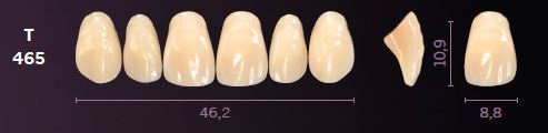 [MOT465B1] T465-B1 MONDIAL TEETH UPPER ANTERIOR