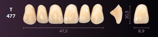 [MOT477D4] T477-D4 MONDIAL TEETH UPPER ANTERIOR