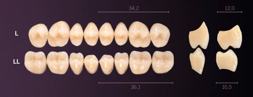 [PRLL-D2L] LL-D2L PREMIUM TEETH LOWER POSTERIOR