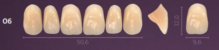 [PRO6-C4] O6-C4 PREMIUM TEETH UPPER ANTERIOR