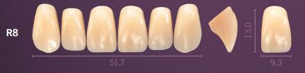 [PRR8-C1] R8-C1 PREMIUM TEETH UPPER ANTERIOR