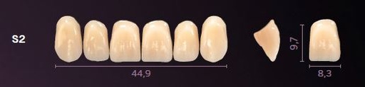 [PRS2-A1] S2-A1 PREMIUM TEETH UPPER ANTERIOR