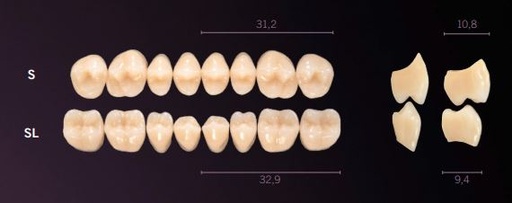 [PRS-D3U] S-D3U PREMIUM TEETH UPPER POSTERIOR