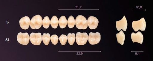 [PRSL-A1L] SL-A1L PREMIUM TEETH LOWER POSTERIOR